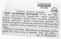 Aecidium astragali image